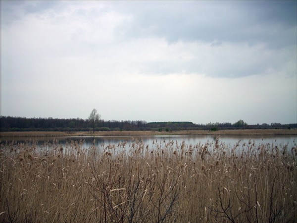 Озеро Глухое